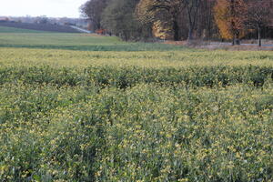 Poland, Wielkopolskie